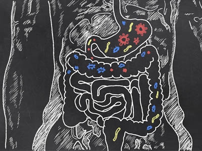 Study Suggests Probiotics May Prevent Cavities