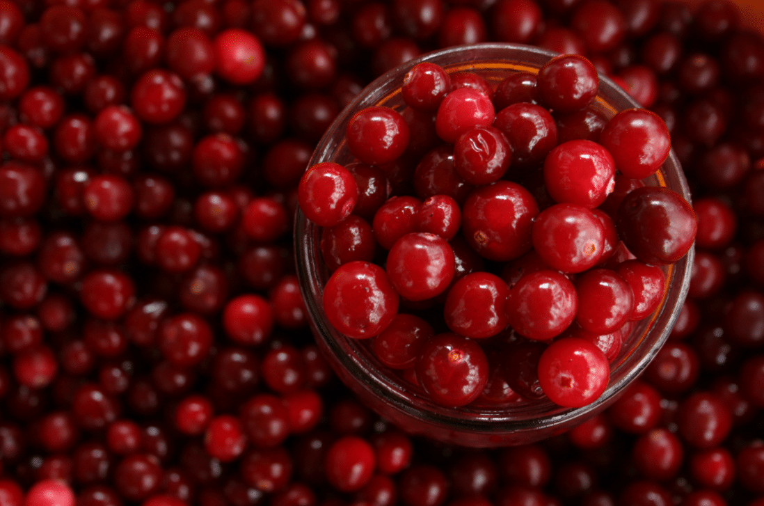 Oral Health Benefits of Cranberries